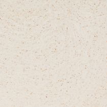 daiktų Augalinės valties plastikinis dubuo smėlio spalvos 24×10×15cm 3vnt