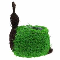 daiktų Sodintuvas Sraigė Vine Natural, Žalia 21x14cm H26cm