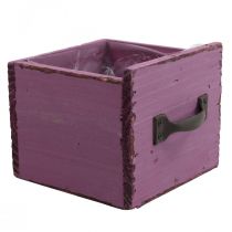 Augalų stalčius medinė dekoratyvinė augalų dėžutė violetinė 12,5cm