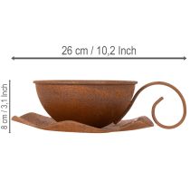 daiktų Sodo puodelis su lėkštute, vazonas, rūdžių spalvos, Ø19,5 cm, aukštis8 cm