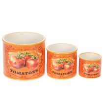 daiktų Pomidorų vazonų rinkinys, keraminiai dekoratyviniai gėlių vazonai virtuvei ir retro dekorui, 14 cm, 3 vnt. rinkinys