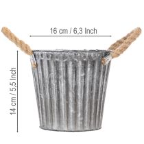 daiktų Metalinis augalų vazonas, dekoratyvinis vazonas su rankenomis, sodintuvas, vazonas Ø16,5 cm