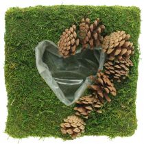 Augalų pagalvėlė širdies samanų ir kūgių kvadratas 25 × 25 cm