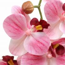 Dirbtinė orchidėjos šakelė Phaelaenopsis Pink H49cm