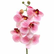 Dirbtinė orchidėjos šakelė Phaelaenopsis Pink H49cm