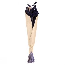 daiktų Phalaris Violet džiovinta dekoratyvinė žolė 50-55cm 100g