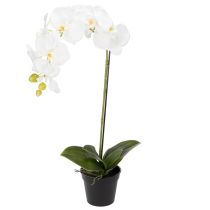 daiktų Dirbtinė orchidėja, apgaulingai tikroviška, biuro ir svetainės dekoravimui, 62 cm