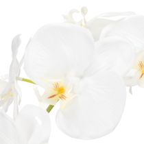 daiktų Dirbtinė orchidėja, apgaulingai tikroviška, biuro ir svetainės dekoravimui, 62 cm