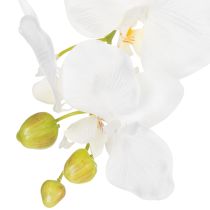 daiktų Dirbtinė orchidėja, apgaulingai tikroviška, biuro ir svetainės dekoravimui, 62 cm