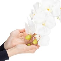 daiktų Dirbtinė orchidėja, apgaulingai tikroviška, biuro ir svetainės dekoravimui, 62 cm
