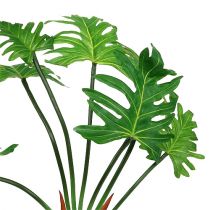 Filodendro augalas dirbtinis žalias 58cm