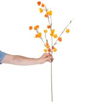 daiktų Dirbtinis kiniškas žibintas, fizalis su žiedais, 95 cm