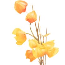 daiktų Dirbtinis kiniškas žibintas, fizalis su žiedais, 95 cm