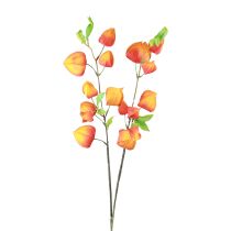 Dirbtinė gėlė oranžinė žibinto gėlė Physalis dekoratyvinės šilkinės gėlės 93cm 2vnt