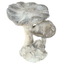 daiktų Grybų dekoracija, lieto akmens, pilkai balta, nusausinta, 21,5 × 18 × 22 cm
