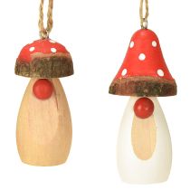 daiktų Grybas medžiui pakabinti baltas, rudas asorti 6,5/8cm 8 vnt