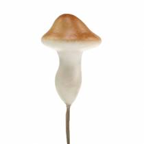 Grybai ant vielos gamtos 2cm 48vnt
