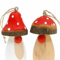 daiktų Grybas medžiui pakabinti baltas, rudas asorti 6,5/8cm 8 vnt