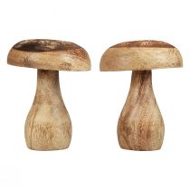 Mediniai grybai dekoratyviniai grybai medžio natūrali rudens puošmena Ø10cm H12cm 2vnt