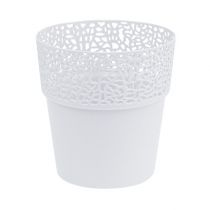 Plastikinis vazonėlis baltas Ø14,5cm H15,5cm 1vnt