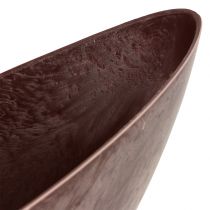 Augalų dubuo Bordo 39cm x 12cm H13cm 1vnt