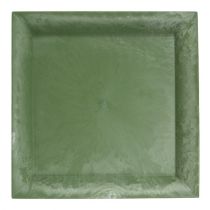 Plastikinė lėkštė žalia kvadratinė 26cm x 26cm