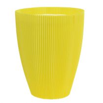 daiktų Plisuoti rankogaliai geltoni 18,5cm 100 vnt