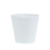 daiktų Plisuoti rankogaliai balti 10,5cm 100 vnt
