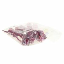 daiktų Plumosum 1 Erika 25 vnt