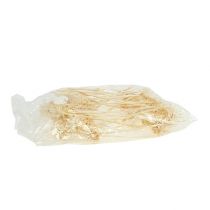 daiktų Plumosum 1 balintas 25 vnt.