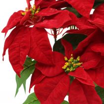 daiktų Dirbtinė Kalėdų žvaigždė Raudona Dirbtinės gėlės vazone H53cm