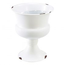Puodelio vaza dekoratyvinis puodelis baltos rūdžių Ø13.5cm H15cm Shabby Chic