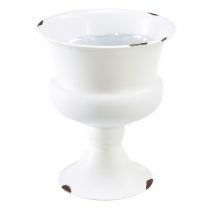 daiktų Puodelio vaza dekoratyvinis puodelis baltos rūdžių Ø13.5cm H15cm Shabby Chic