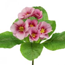 Raktažolės Dirbtinės gėlės Cowslips Pink H25cm