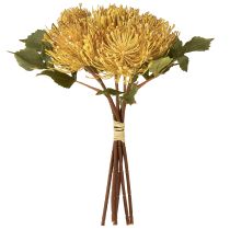 daiktų Dirbtinės protea smeigtukų pagalvėlės Leucospermum geltonos 30 cm 6 vnt.
