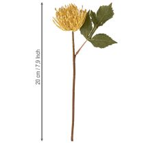 daiktų Dirbtinės protea smeigtukų pagalvėlės Leucospermum geltonos 30 cm 6 vnt.