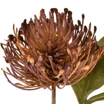daiktų Dirbtinės adatų pagalvėlės „Protea“ „Leucospermum“ violetinės 30 cm 6 vnt.