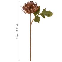 daiktų Dirbtinės adatų pagalvėlės „Protea“ „Leucospermum“ violetinės 30 cm 6 vnt.