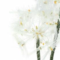 daiktų Dirbtinės pievos gėlė milžiniška kiaulpienė balta 57cm