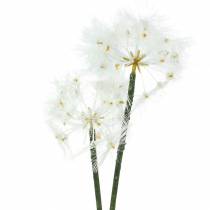 Dirbtinės pievos gėlė milžiniška kiaulpienė balta 57cm
