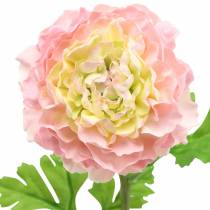 daiktų Ranunculus rožinis H45cm