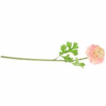 daiktų Ranunculus rožinis H45cm