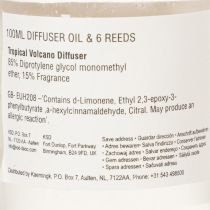 daiktų Kambario kvapų difuzorius su egzotišku kokosų ir mangų aromatu ilgalaikiam gaivumui namuose, 19 cm, 2 vnt.