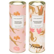 daiktų Kambario kvapų difuzorius su egzotišku kokosų ir mangų aromatu ilgalaikiam gaivumui namuose, 19 cm, 2 vnt.