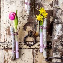 daiktų Mėgintuvėlis 160mm × 22mm