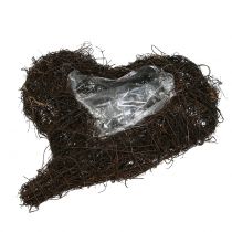 daiktų Vynmedžio širdelė gamtos sodinimui 30cm x 25cm