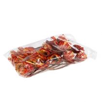 daiktų Repens Cup Red 25 vnt