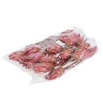 daiktų Repens Erika 25 vnt