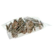 daiktų Repens rozetė 6-7cm balta skalbta 25 vnt