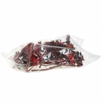 daiktų Repens Rosette Red 8cm - 9cm 25 vnt